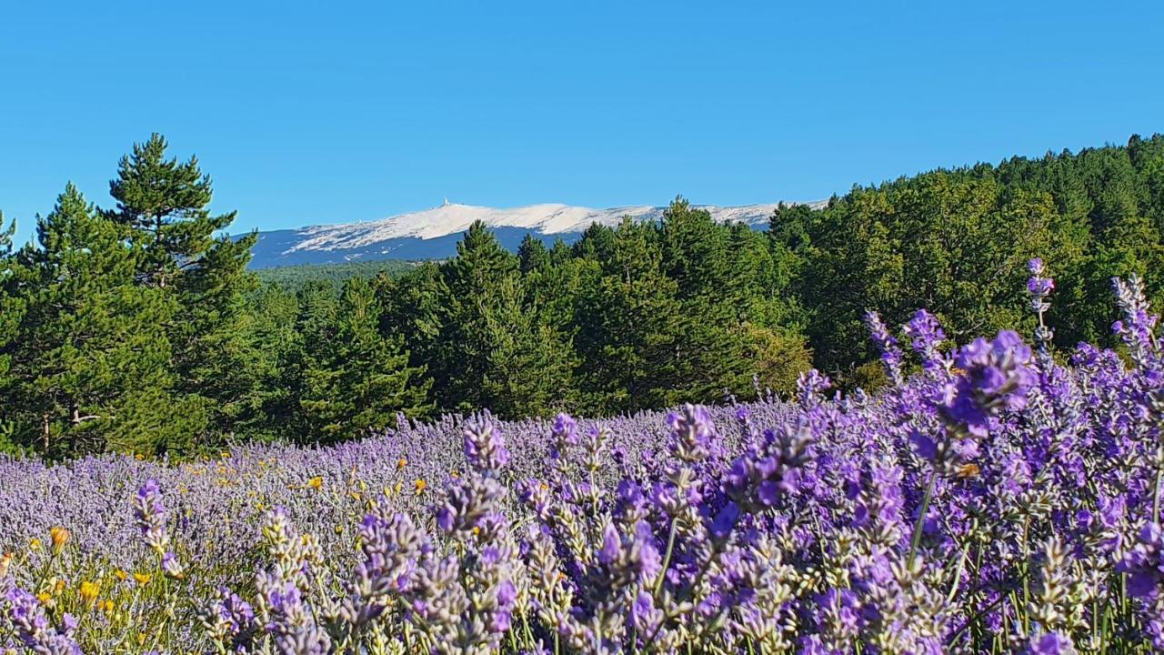 Monieux A Ventoux Yourte מראה חיצוני תמונה